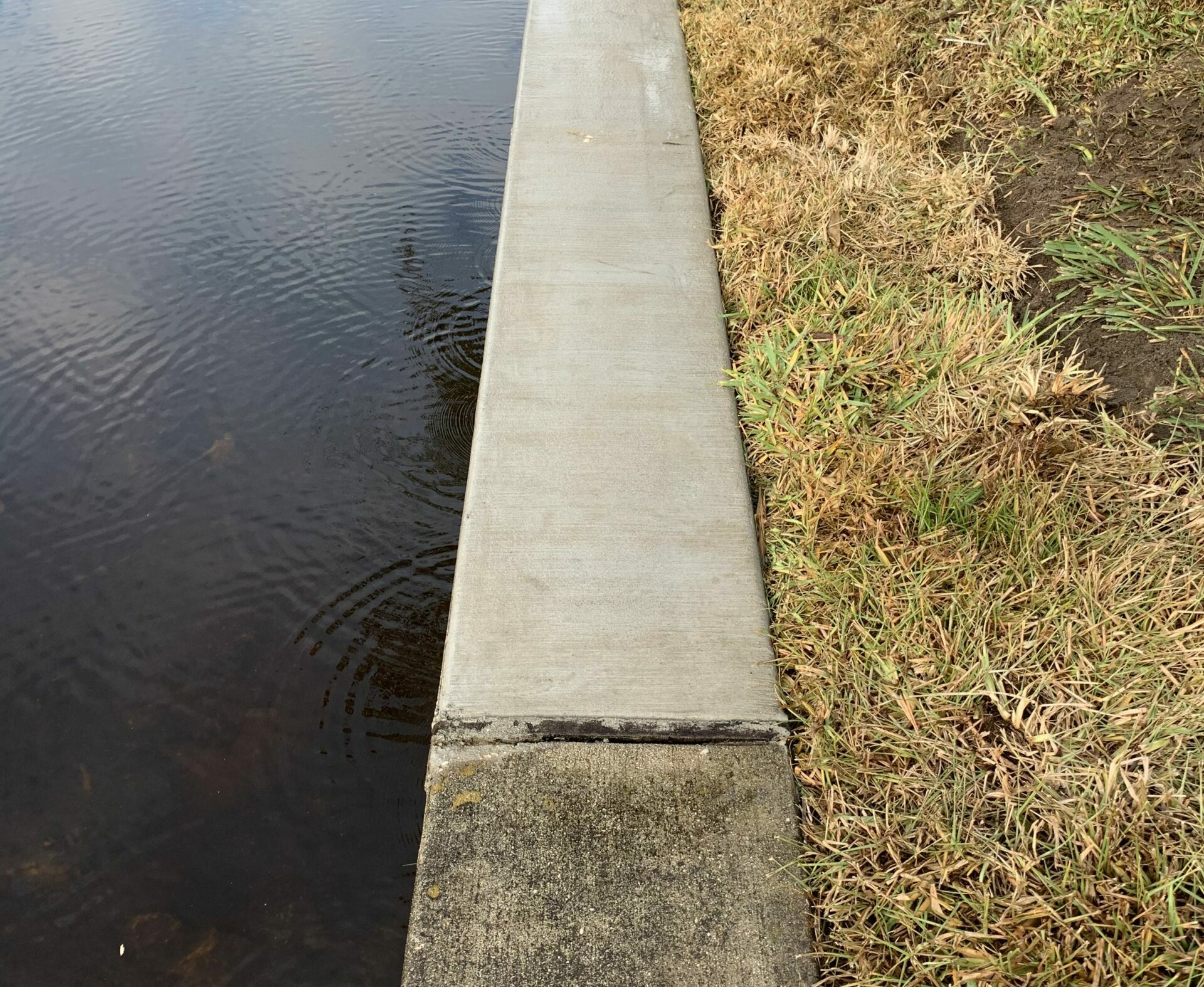 Seawall Cap Replacement
