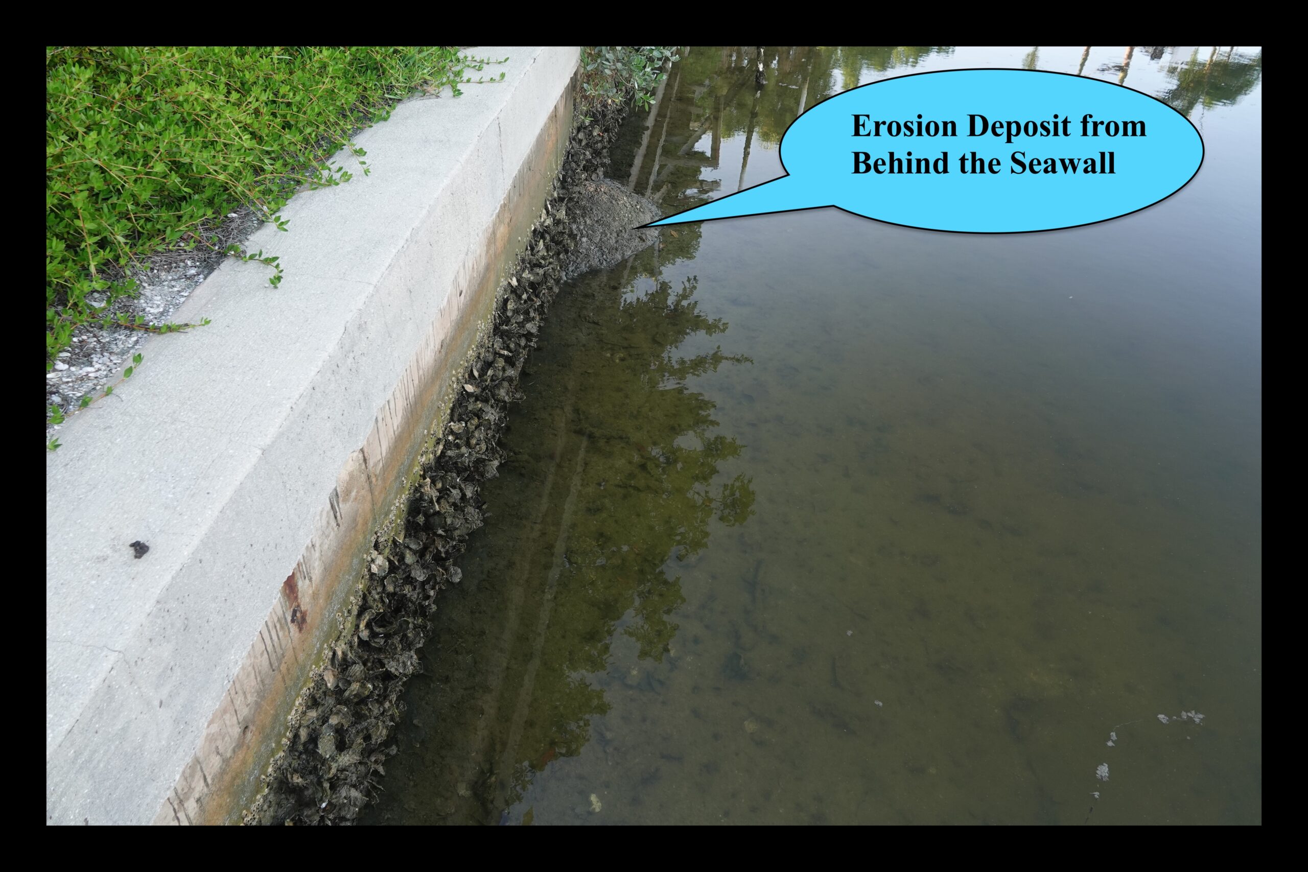 Seawall Erosion Caused by Seawall Void