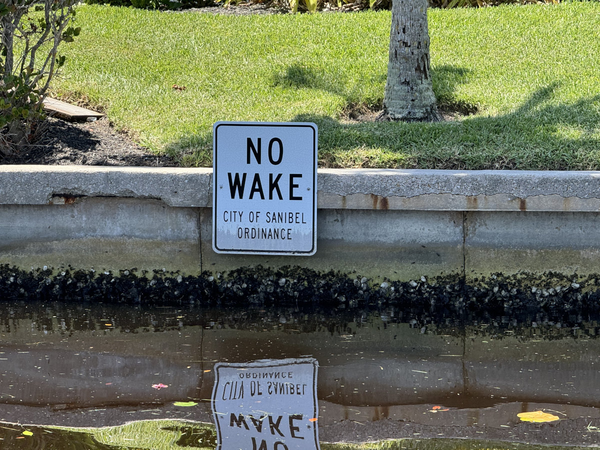 Concrete Seawall