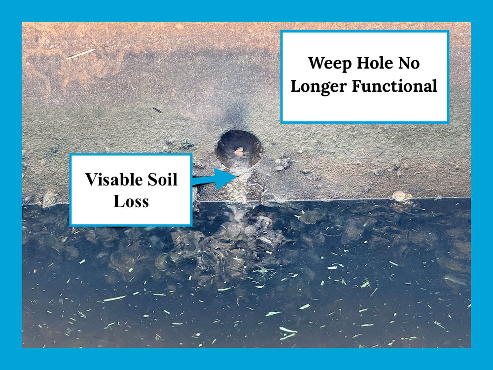 Early Signs of Seawall Erosion